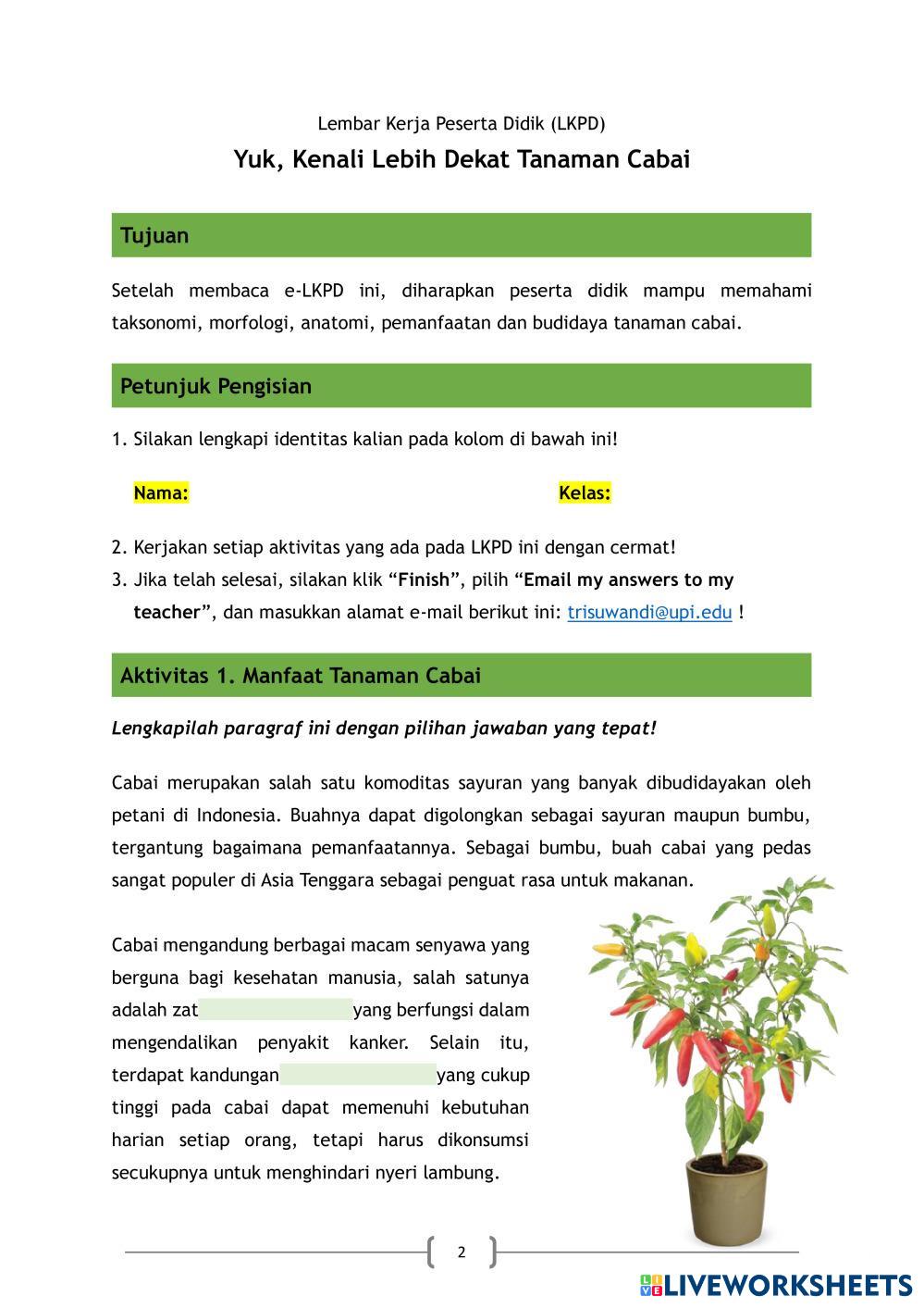 Contoh e-LKPD Cabai.pdf