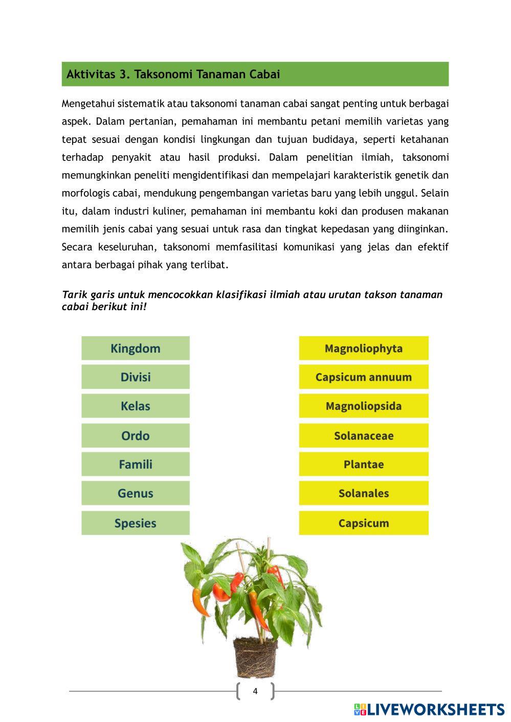 Contoh e-LKPD Cabai.pdf