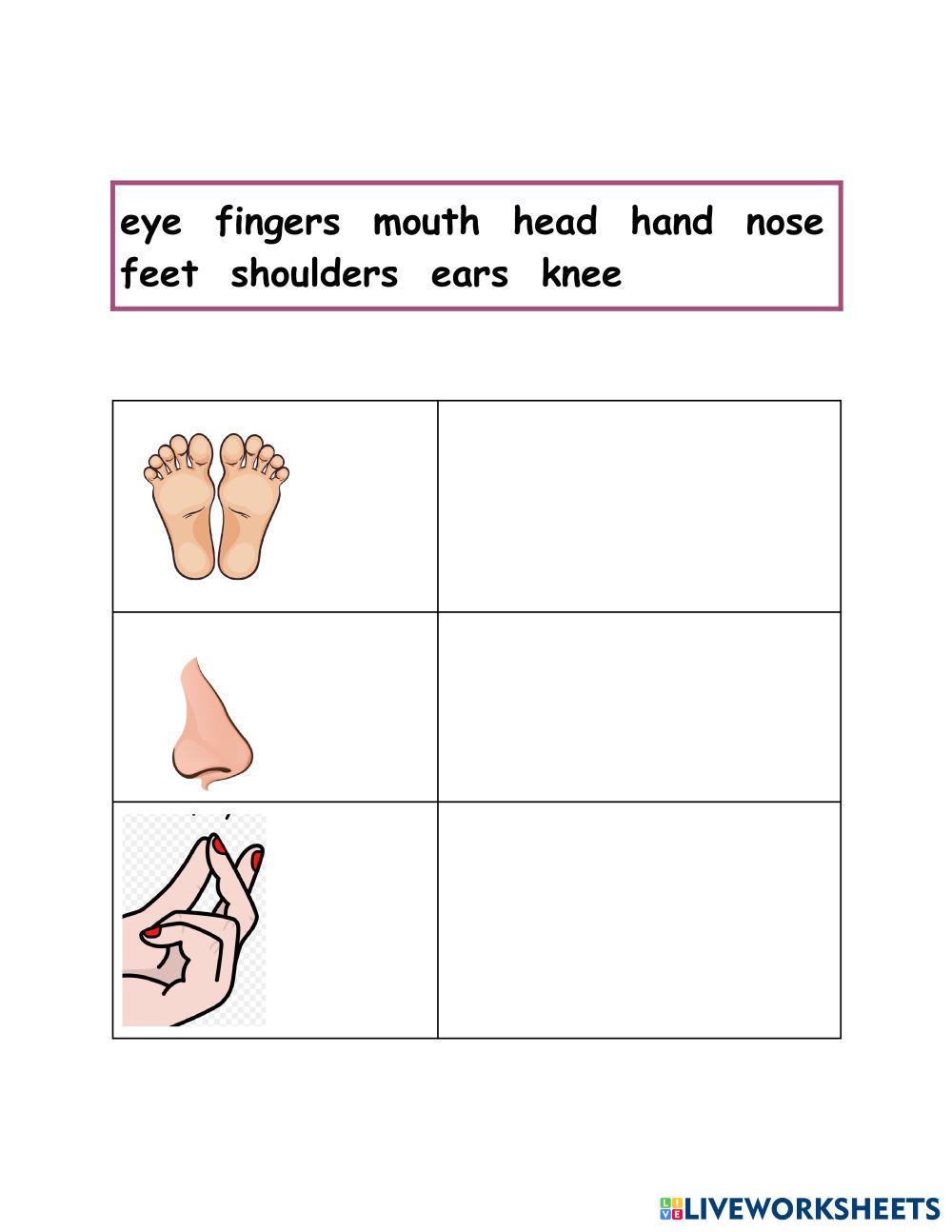 Parts of the Body. TYPING (1).pdf