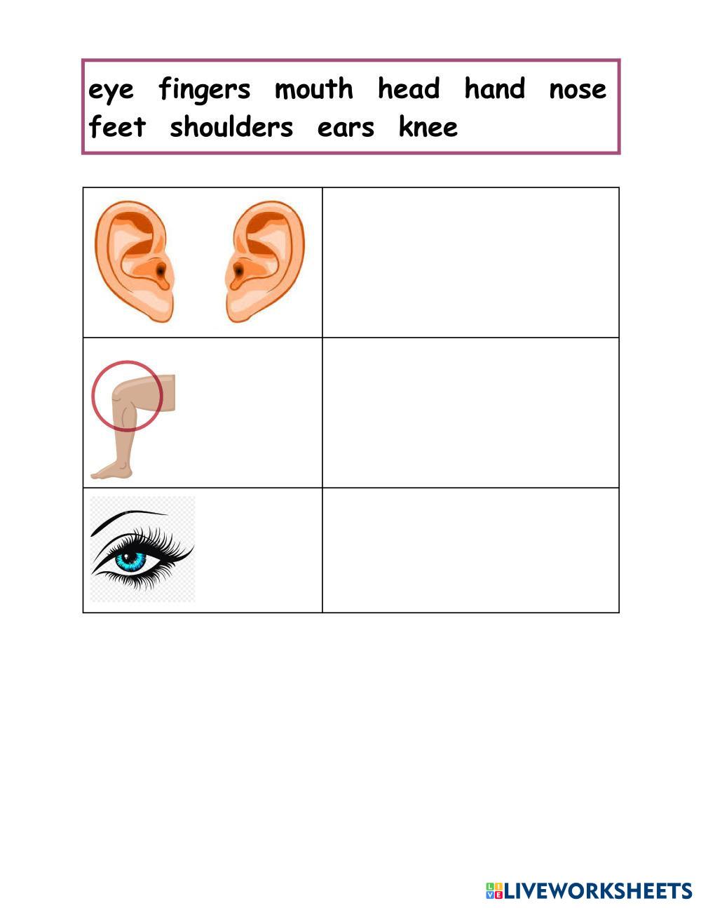 Parts of the Body. TYPING (1).pdf