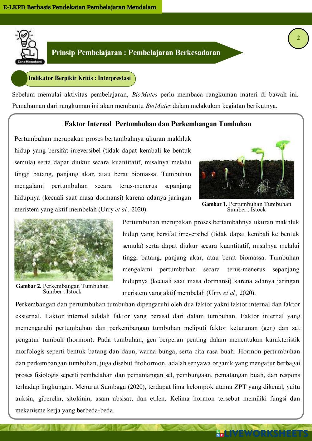 Salinan dari lkpd 2 (1)_compressed_compressed_compressed.pdf