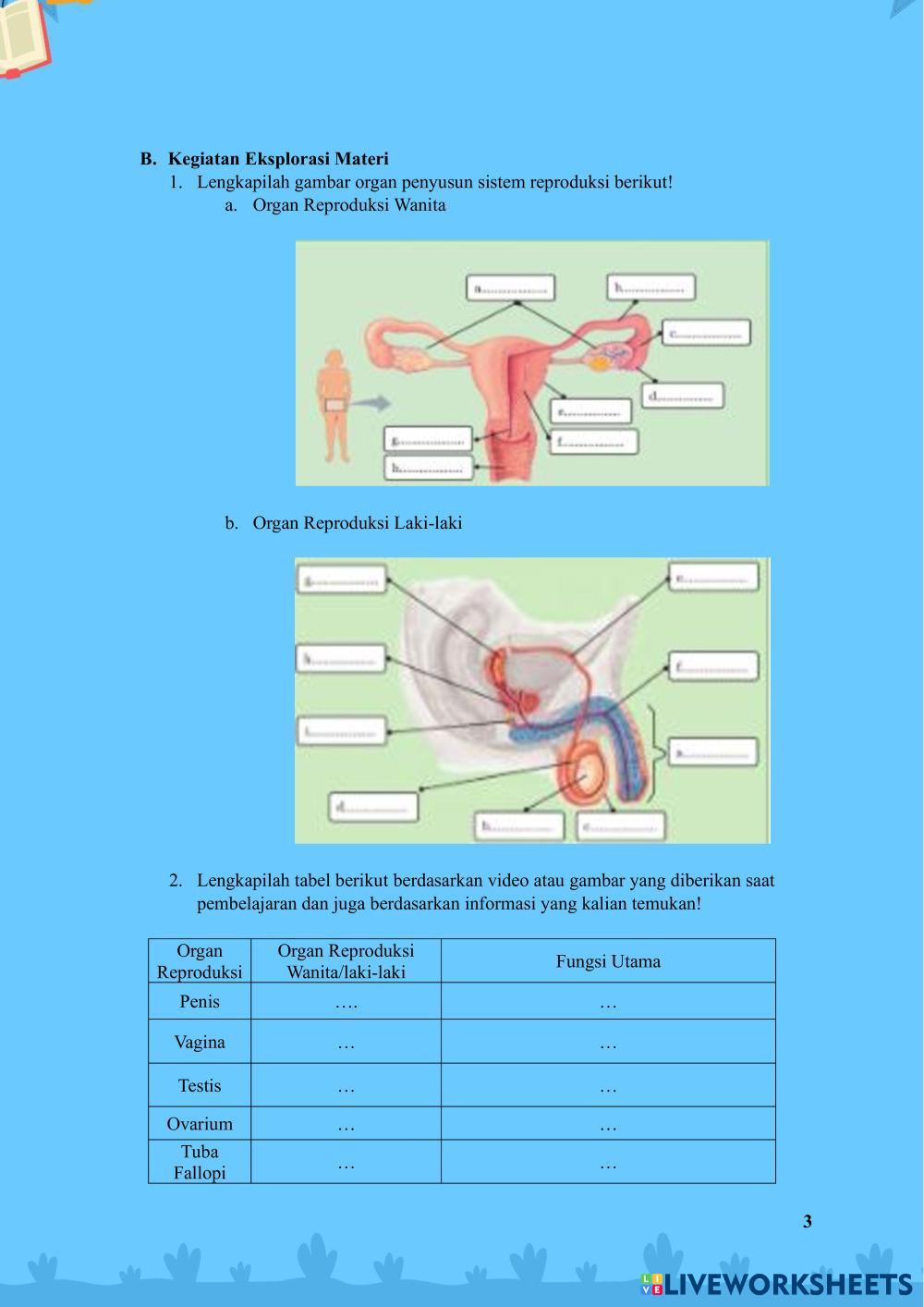 LKPD 1_Pubertas dan Organ Reproduksi.pdf