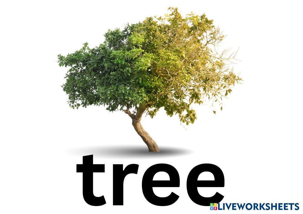 Course 8 Animals - S5.pdf