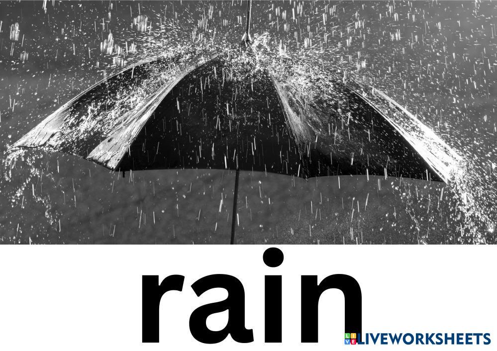 Course 8 Animals - S5.pdf