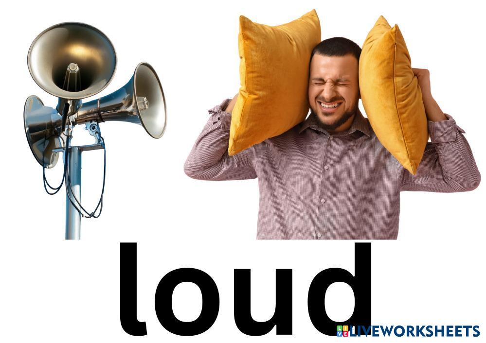 Course 8 Animals - S5.pdf