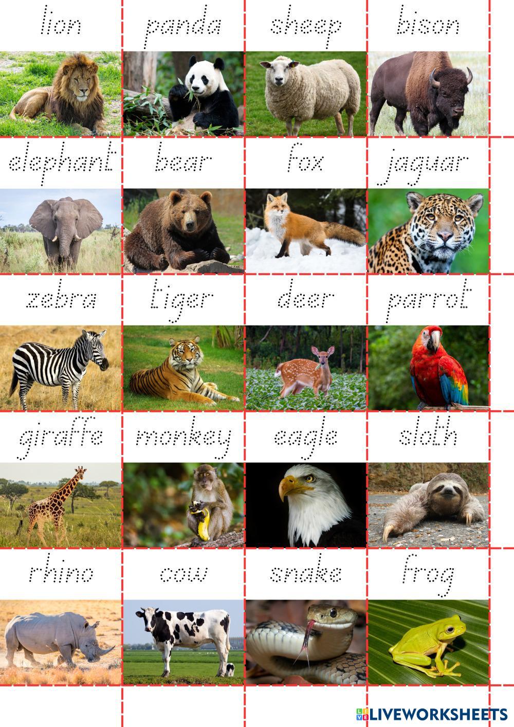 Copy of Course 8 Revision.pdf