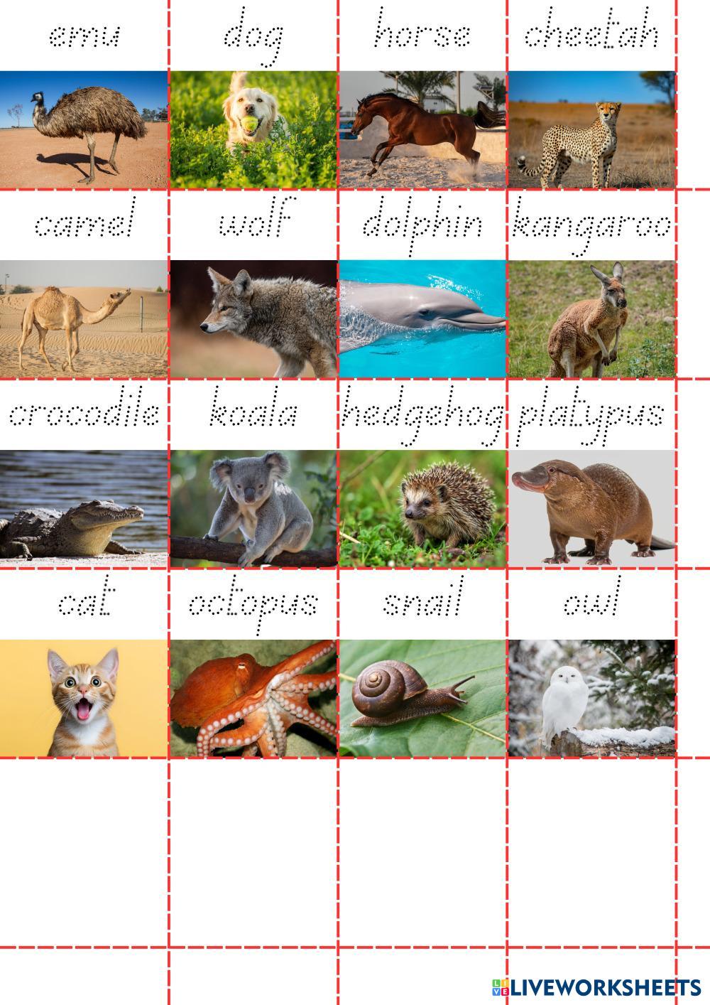 Copy of Course 8 Revision.pdf