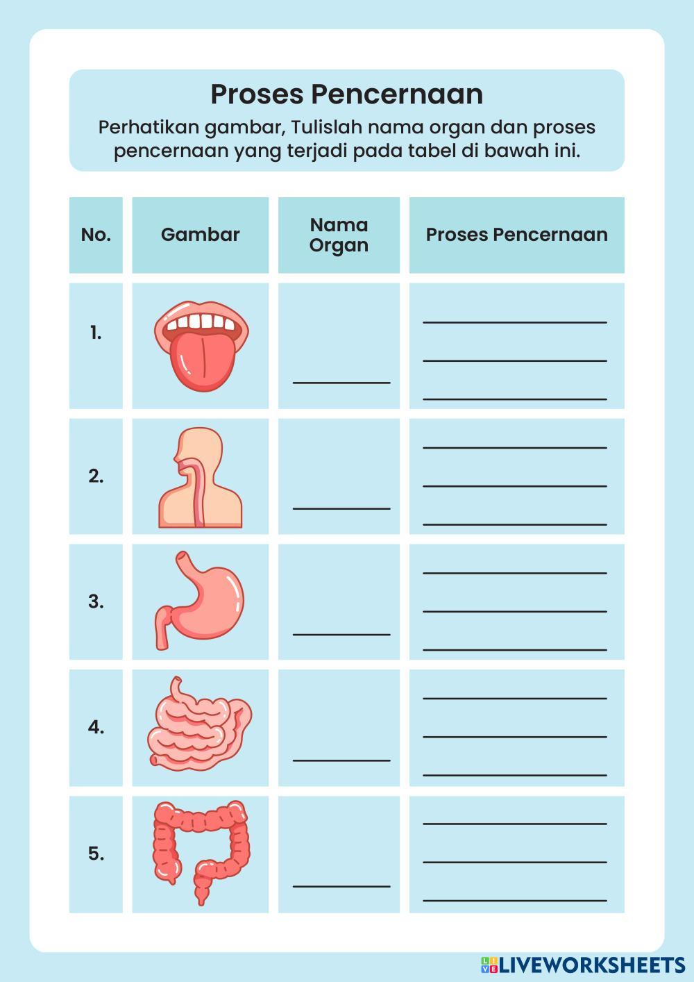 Sistem Pencernaan Manusia Lembar Kerja Peserta Didik Warna-Warni Simpel dan Lucu.pdf