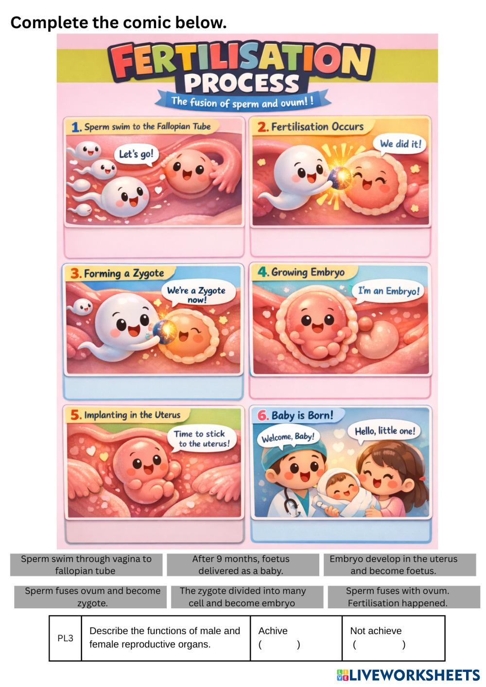 Worksheet science year 6.png