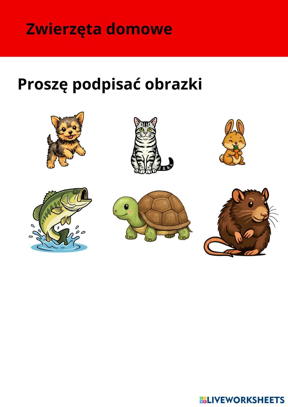 Dodaj_podtytu__.pdf