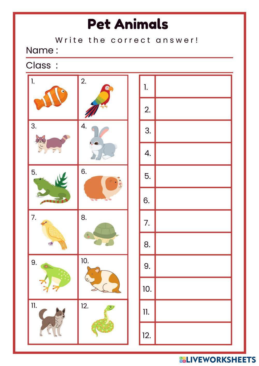 Colorful_Illustrative_Pet_Animals_Worksheet.pdf
