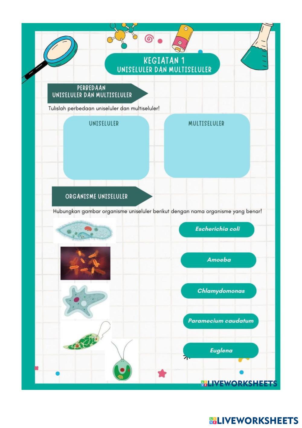 2C-46027-hasmirudin,s.pd.pdf (1) (2).pdf
