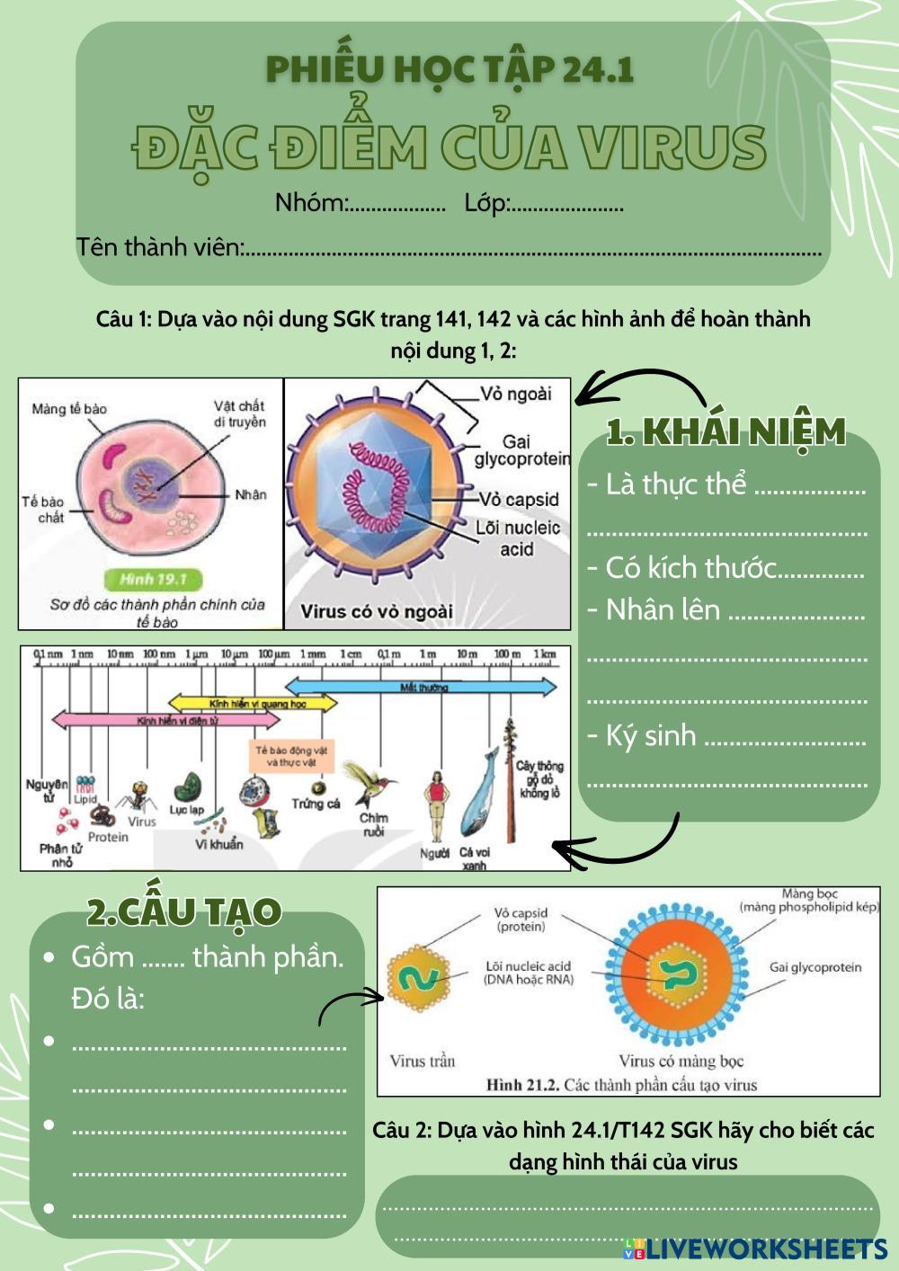 Phi___u_h___c_t___p_24.1.pdf