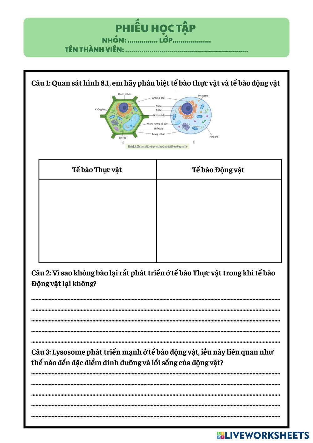 PHI___U_H___C_T___P_NH__M__..............._L___P..................._T__N_TH__NH_VI__N__..............................................................pdf