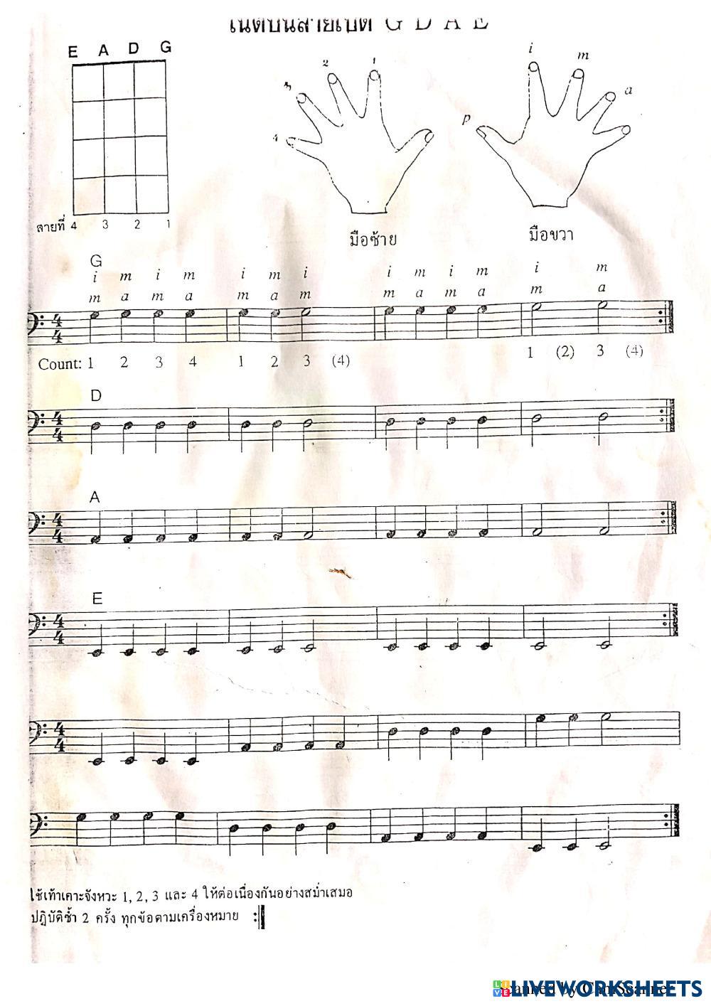 แบบฝึก bass.pdf