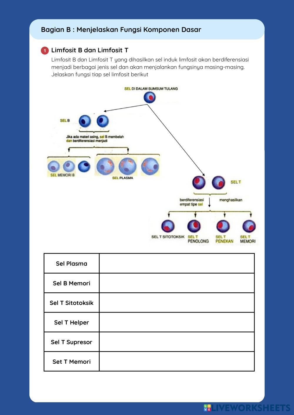 LKPD_SISTEM_IMUN.pdf
