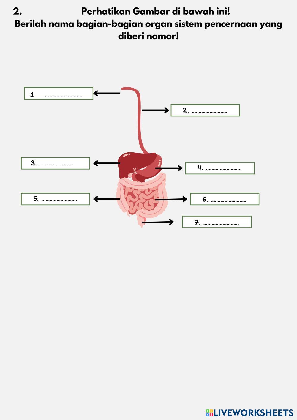 Sistem_Tata_Surya_Lembar_Kerja_Biru_dan_Warna-Warni_Ilustratif.pdf