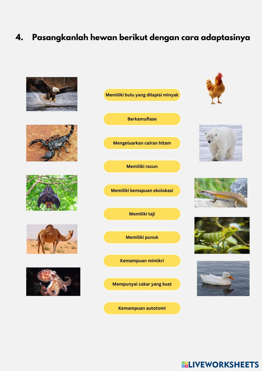 Sistem_Tata_Surya_Lembar_Kerja_Biru_dan_Warna-Warni_Ilustratif.pdf