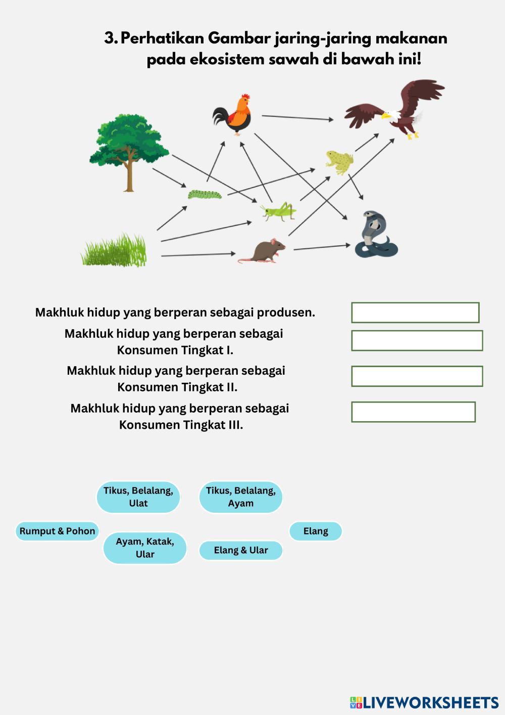 Sistem_Tata_Surya_Lembar_Kerja_Biru_dan_Warna-Warni_Ilustratif.pdf