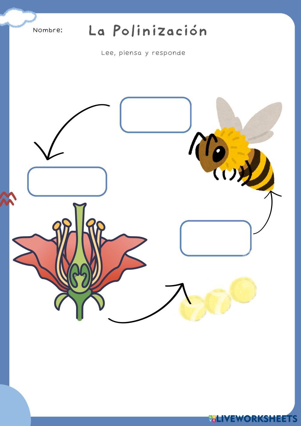 Ficha_de_ejercicios_sobre_el_aeropuerto_ilustrativo_colorido_azul.pdf