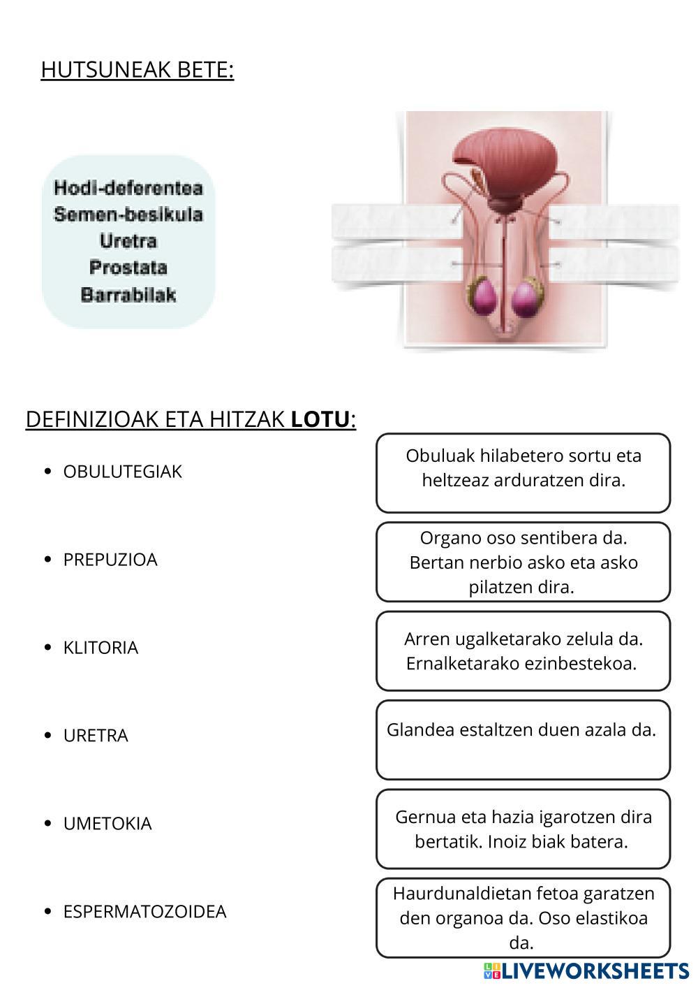 Hartu_eman_galdetegia.pdf