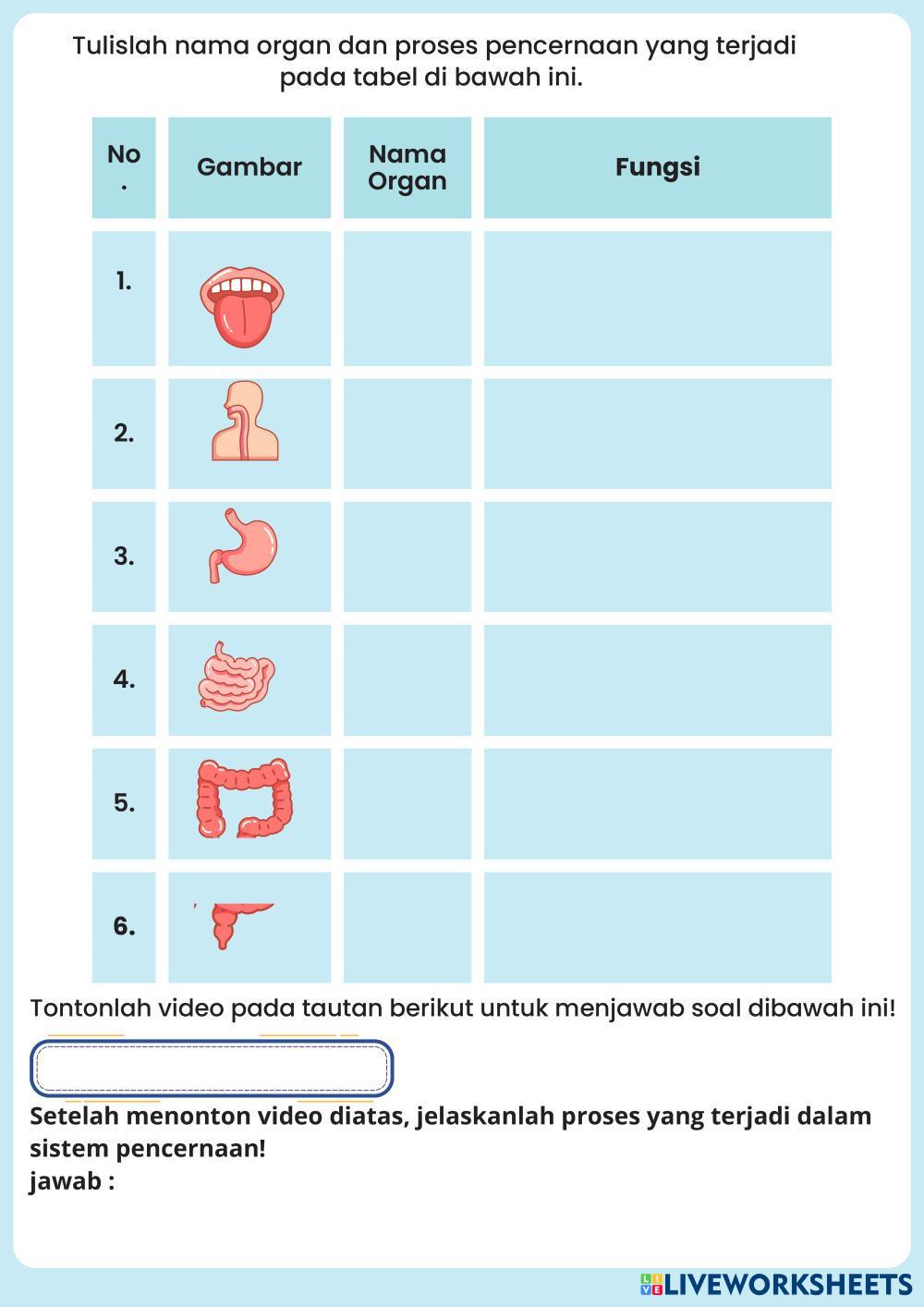 Sistem Pencernaan Manusia Lembar Kerja Peserta Didik Warna-Warni Simpel dan Lucu.pdf