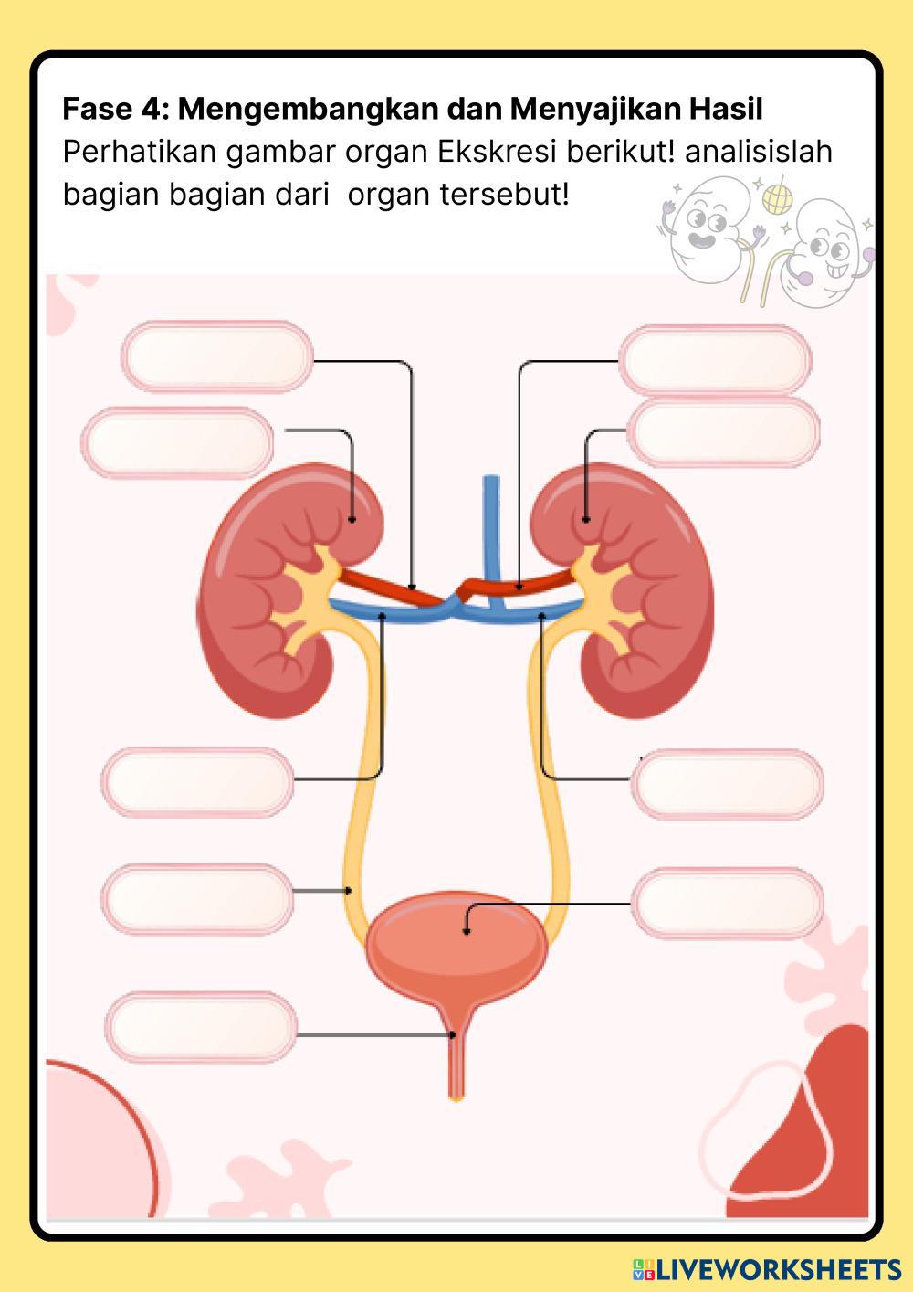 Copy_of_Menjelajah_Sel_Lembar_Kerja_Peserta_Didik_Warna-Warni_Gambar_Tangan_dan_sederhana.pdf
