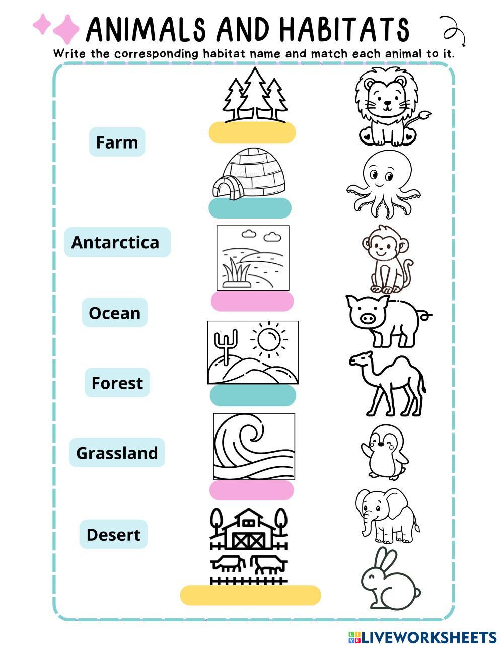 Animals_and_Habitats.pdf