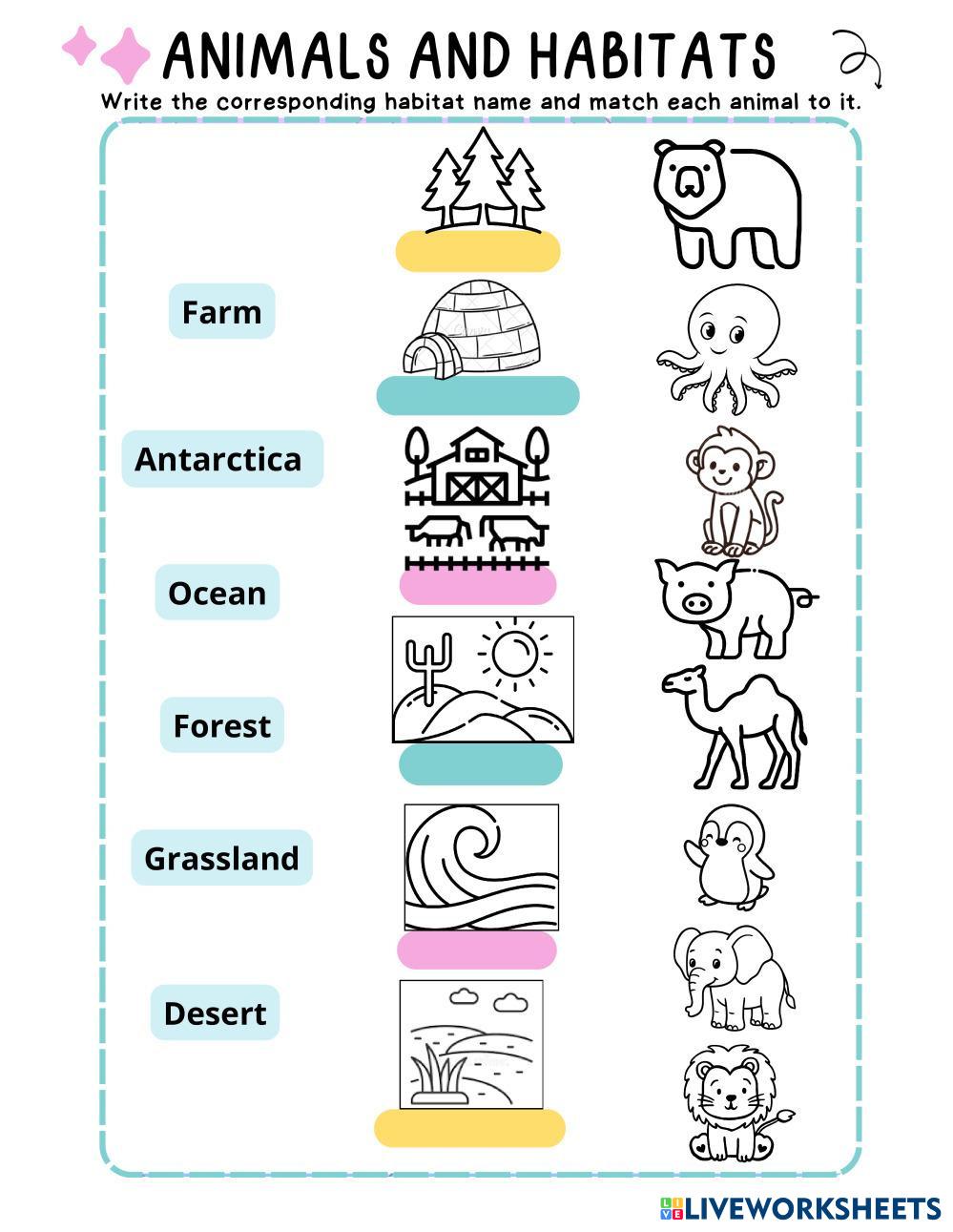 Animals_and_Habitats.pdf