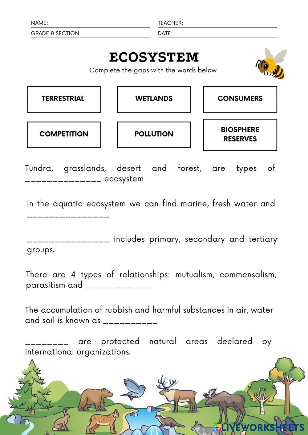 Food_Web_Worksheet.pdf