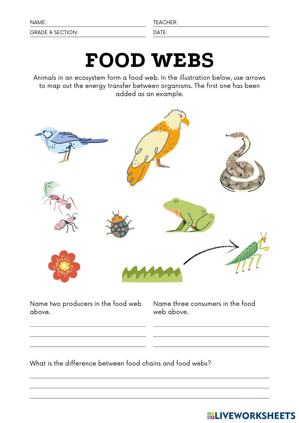 Food_Web_Worksheet.pdf