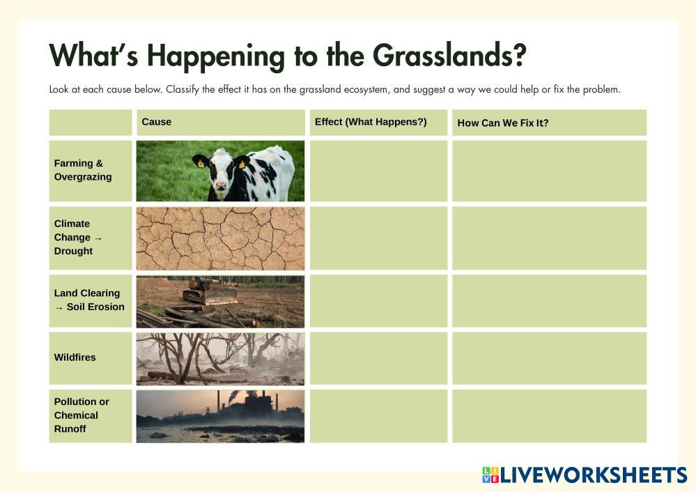 Ecosystem_Matching-Digital_Worksheet_in_simple_yellow_style.pdf