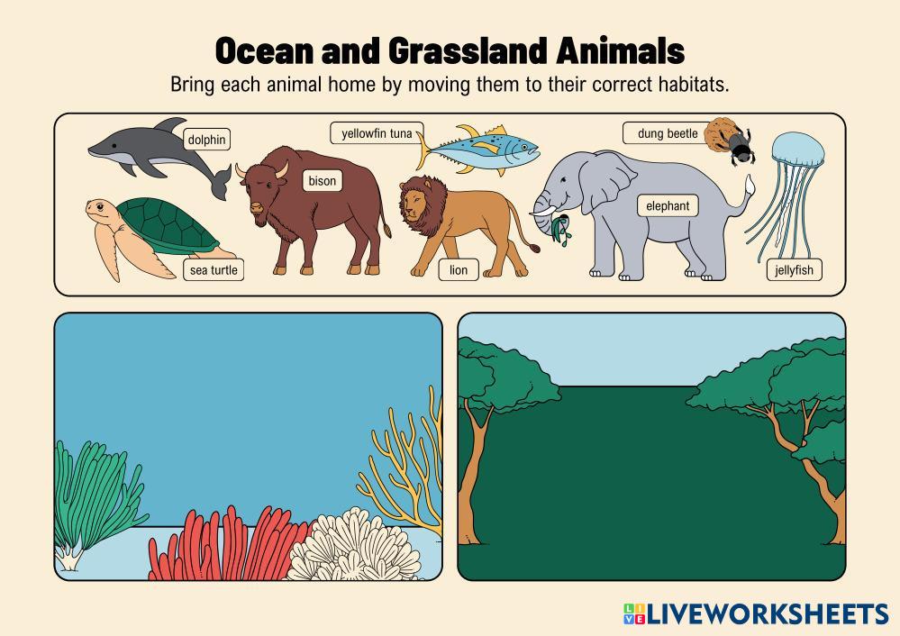 Ecosystem_Matching-Digital_Worksheet_in_simple_yellow_style.pdf