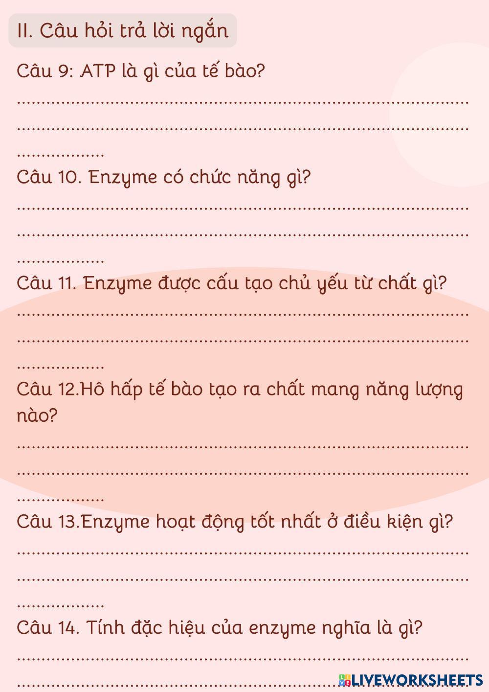 Phi___u_h___c_t___p.pdf