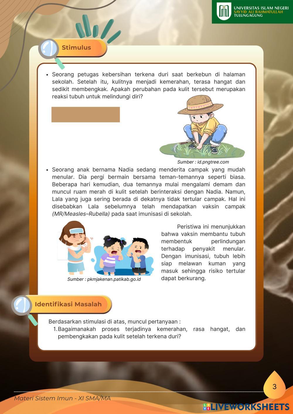 Sistem_Imun_Kelas_XI_SMA_MA.pdf