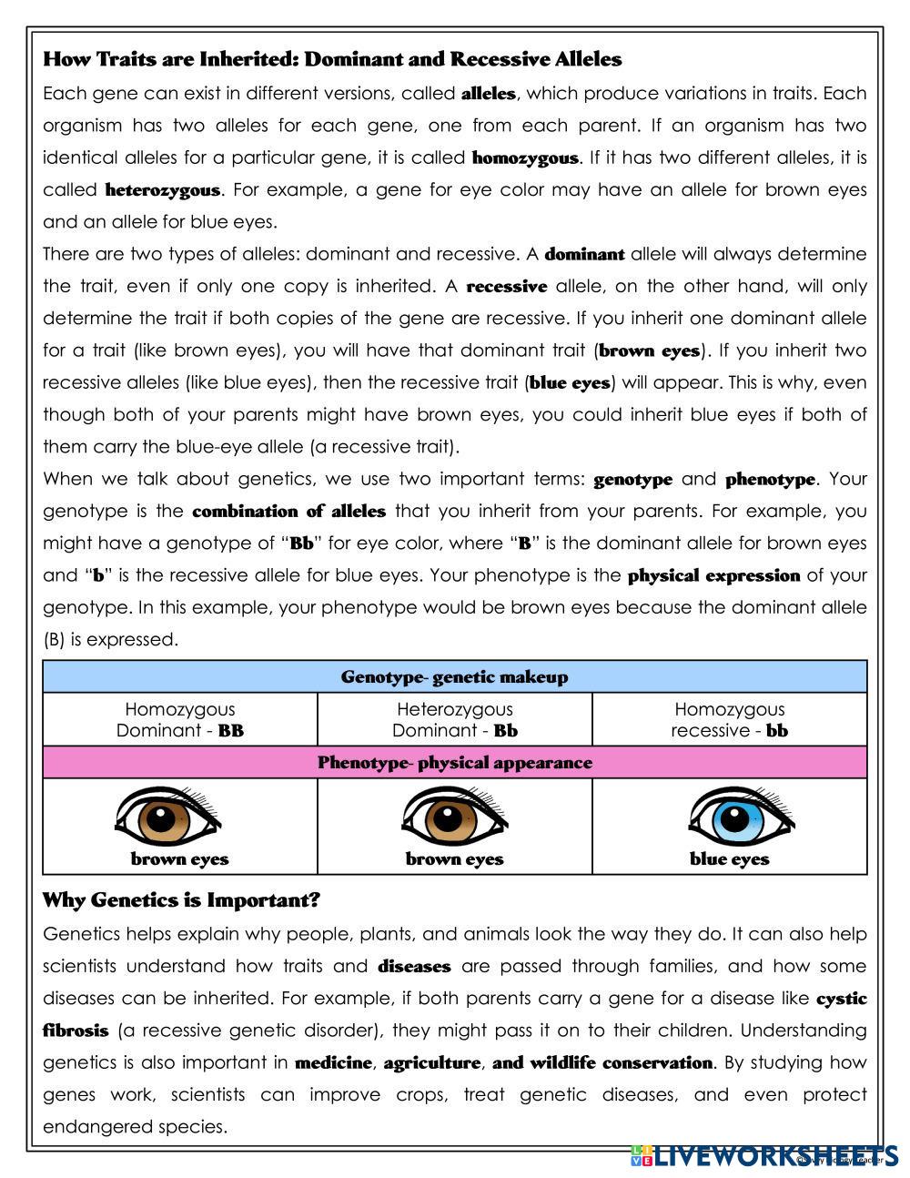 Kami Export - o6IlPO53FQwK1vk3BRhWDA.pdf