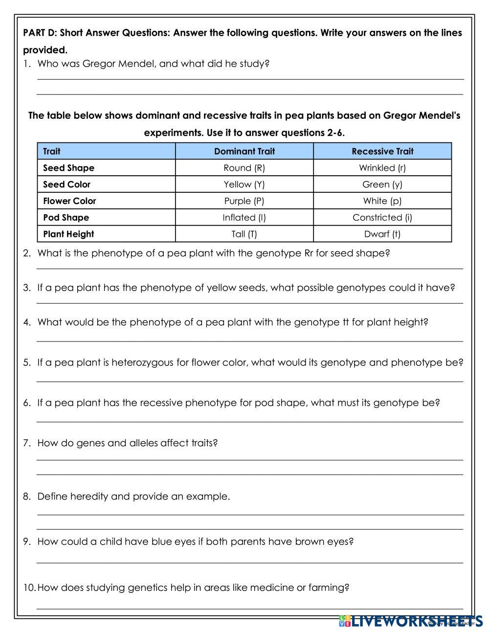 Kami Export - o6IlPO53FQwK1vk3BRhWDA.pdf