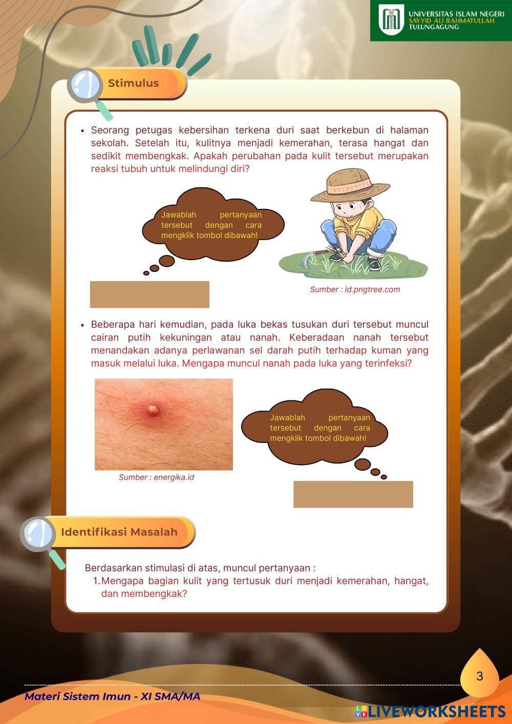 _1__Sistem_Imun_Kelas_XI_SMA_MA.pdf