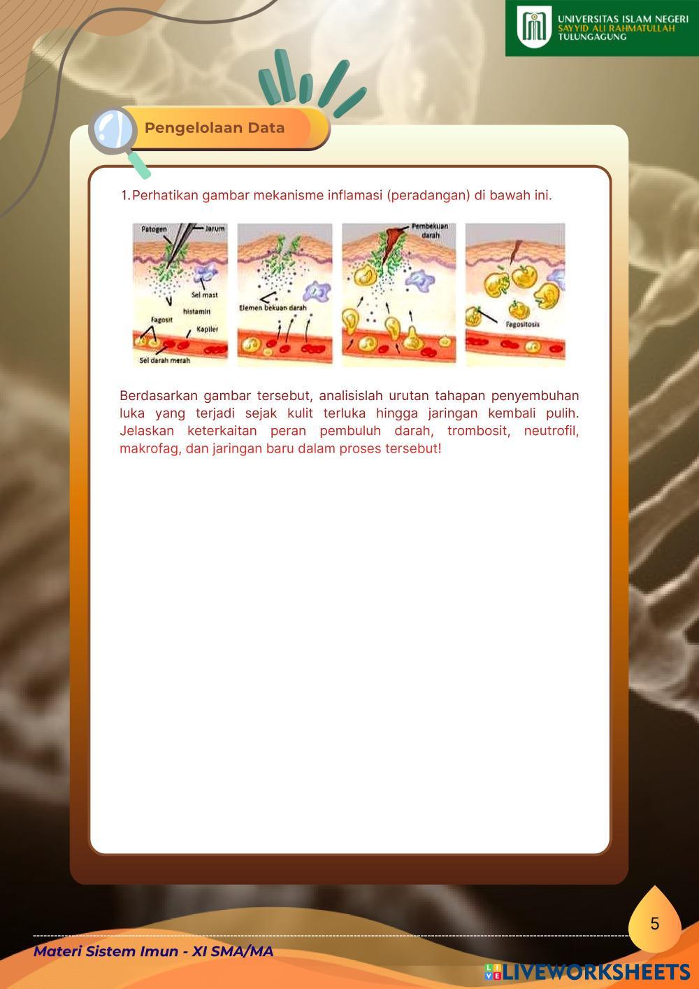 _1__Sistem_Imun_Kelas_XI_SMA_MA.pdf