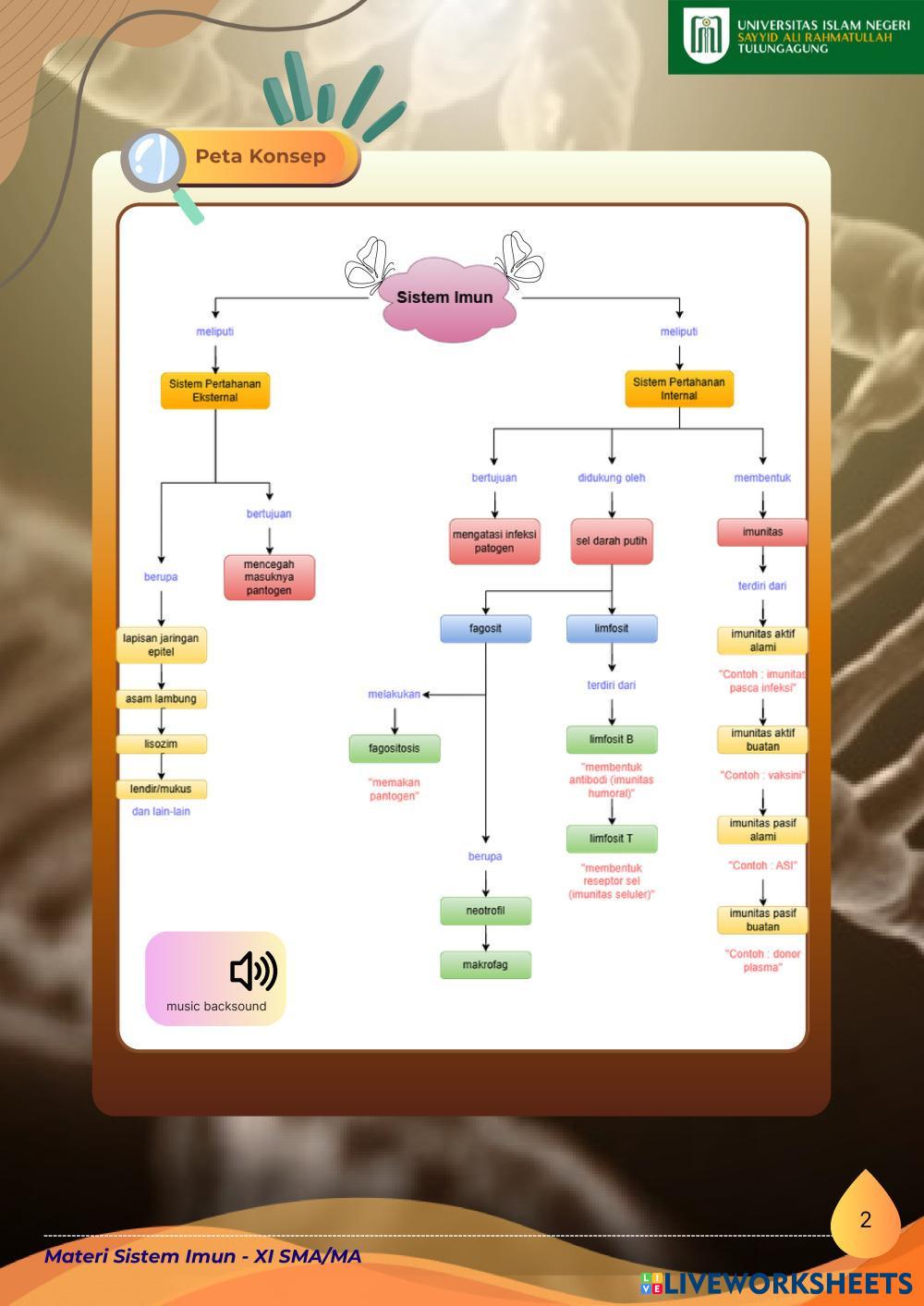 _2__Sistem_Imun_Kelas_XI_SMA_MA.pdf