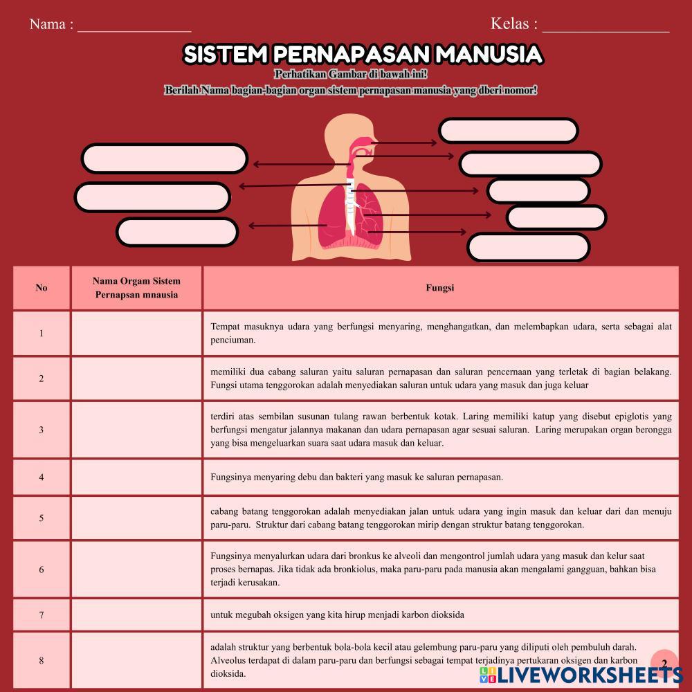 LKPD Liveworksheet (1).pdf