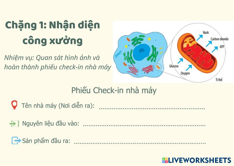 Ch___ng_1__Nh___n_di___n_c__ng_x_____ng.pdf