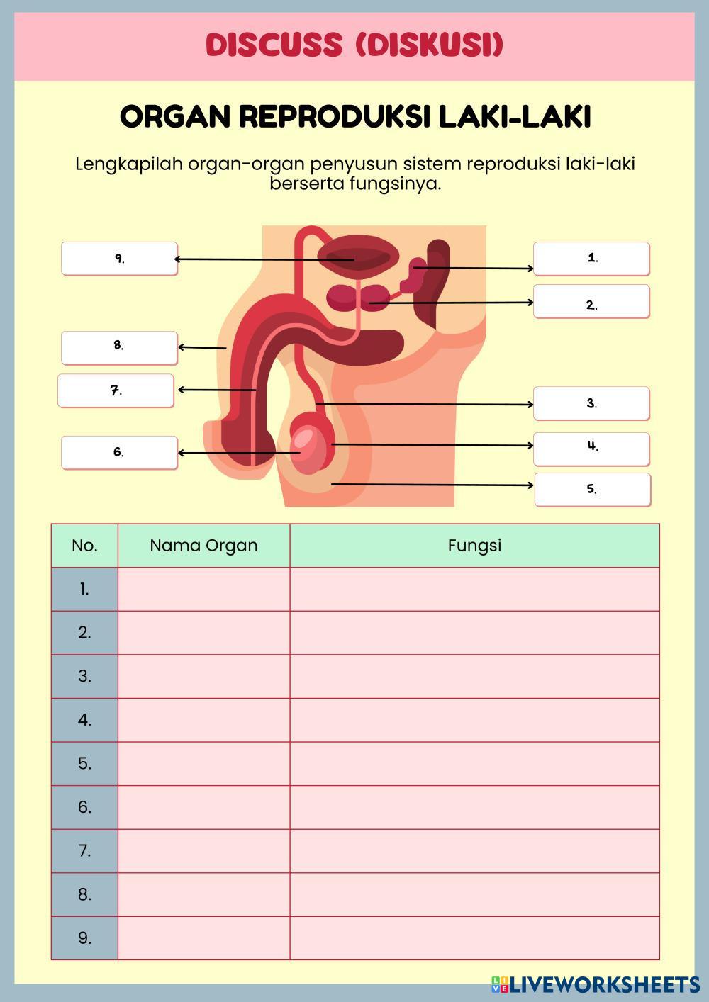 Lembar_Kerja_Peserta_Didik.pdf