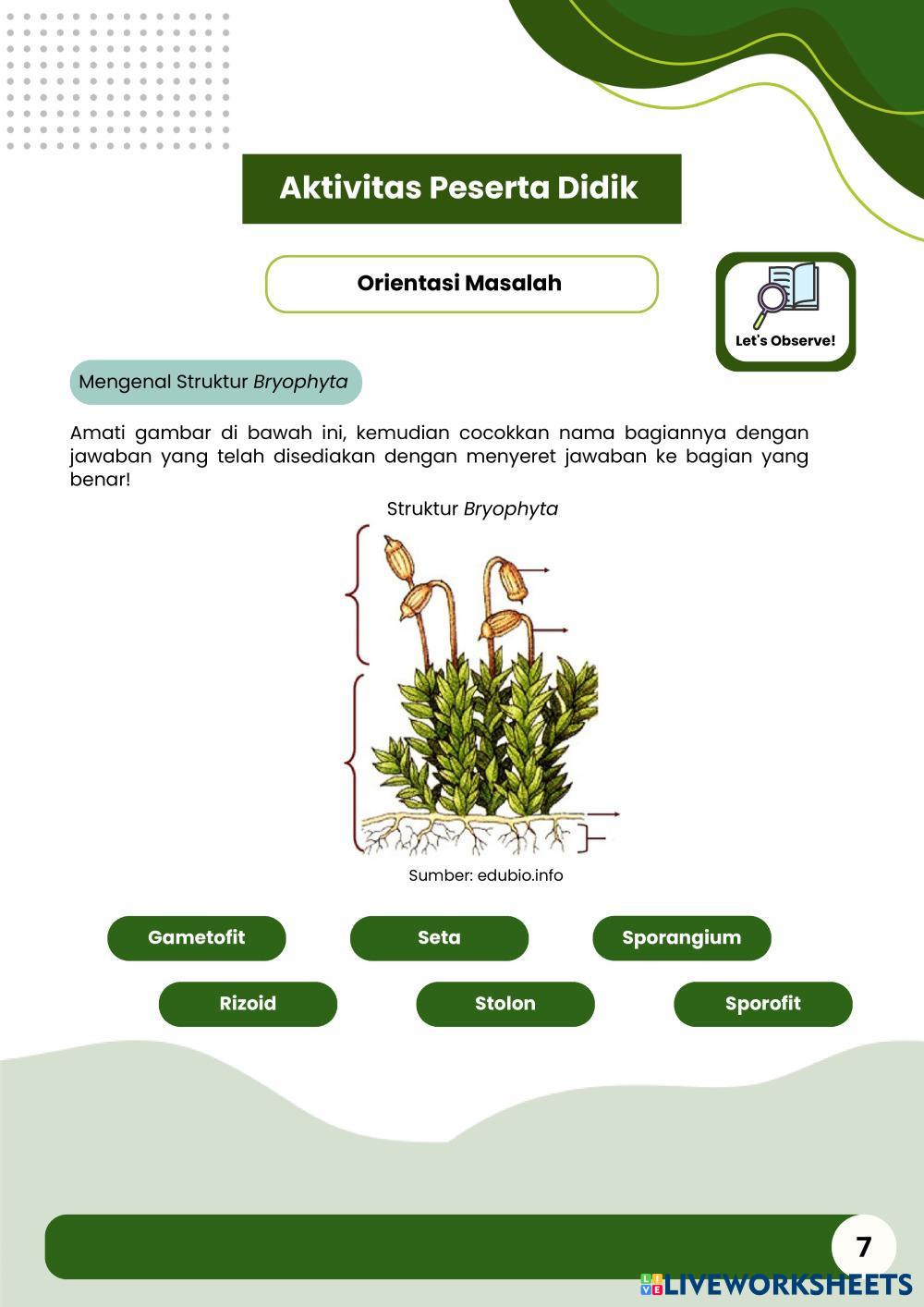 Hijau_Ilustrasi_Modul_Ajar_Biologi_Sampul_Buku__A4_.pdf