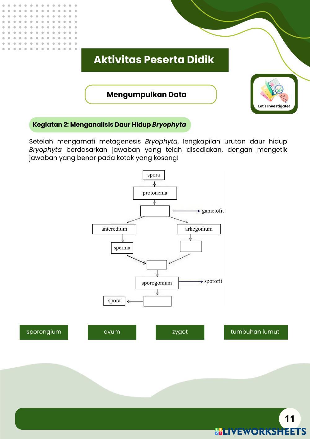 Hijau_Ilustrasi_Modul_Ajar_Biologi_Sampul_Buku__A4_.pdf