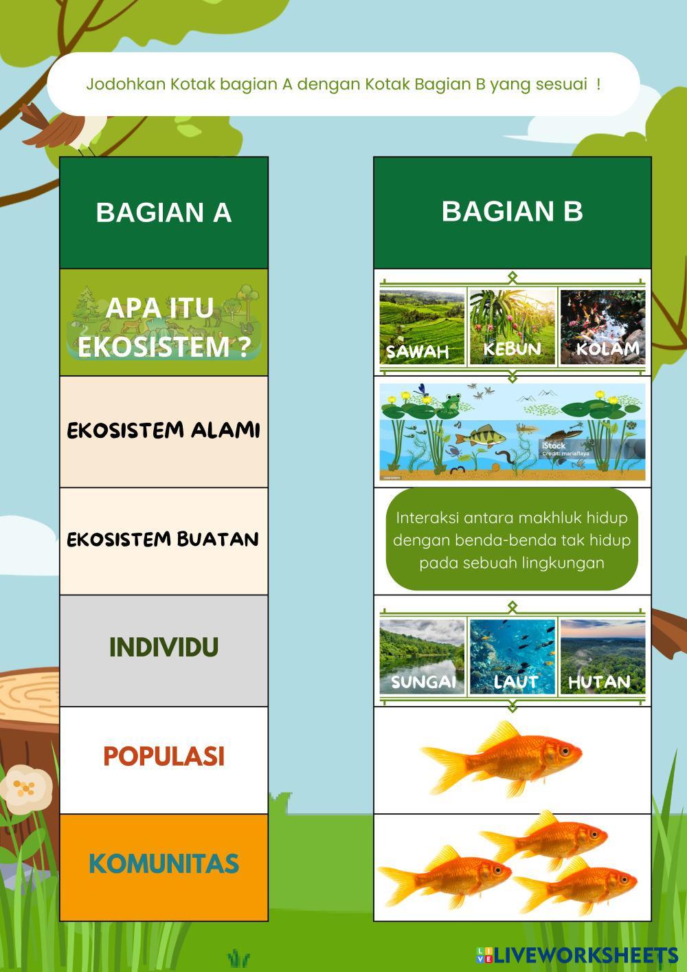 LKPD_EKOSISTEM_ANISA_PUTRI_LISTARI.pdf