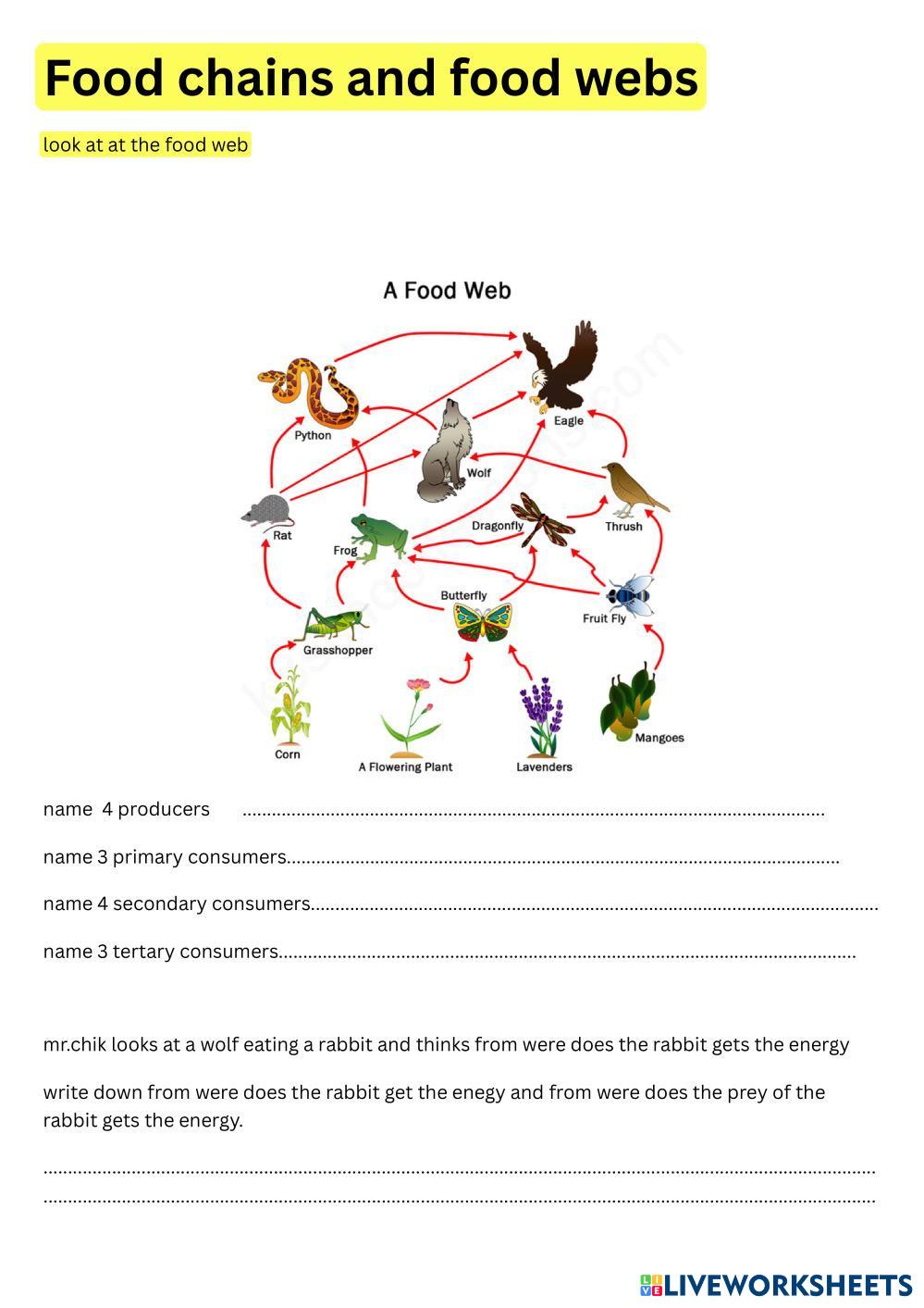 Food_chains_and_food_webs.pdf