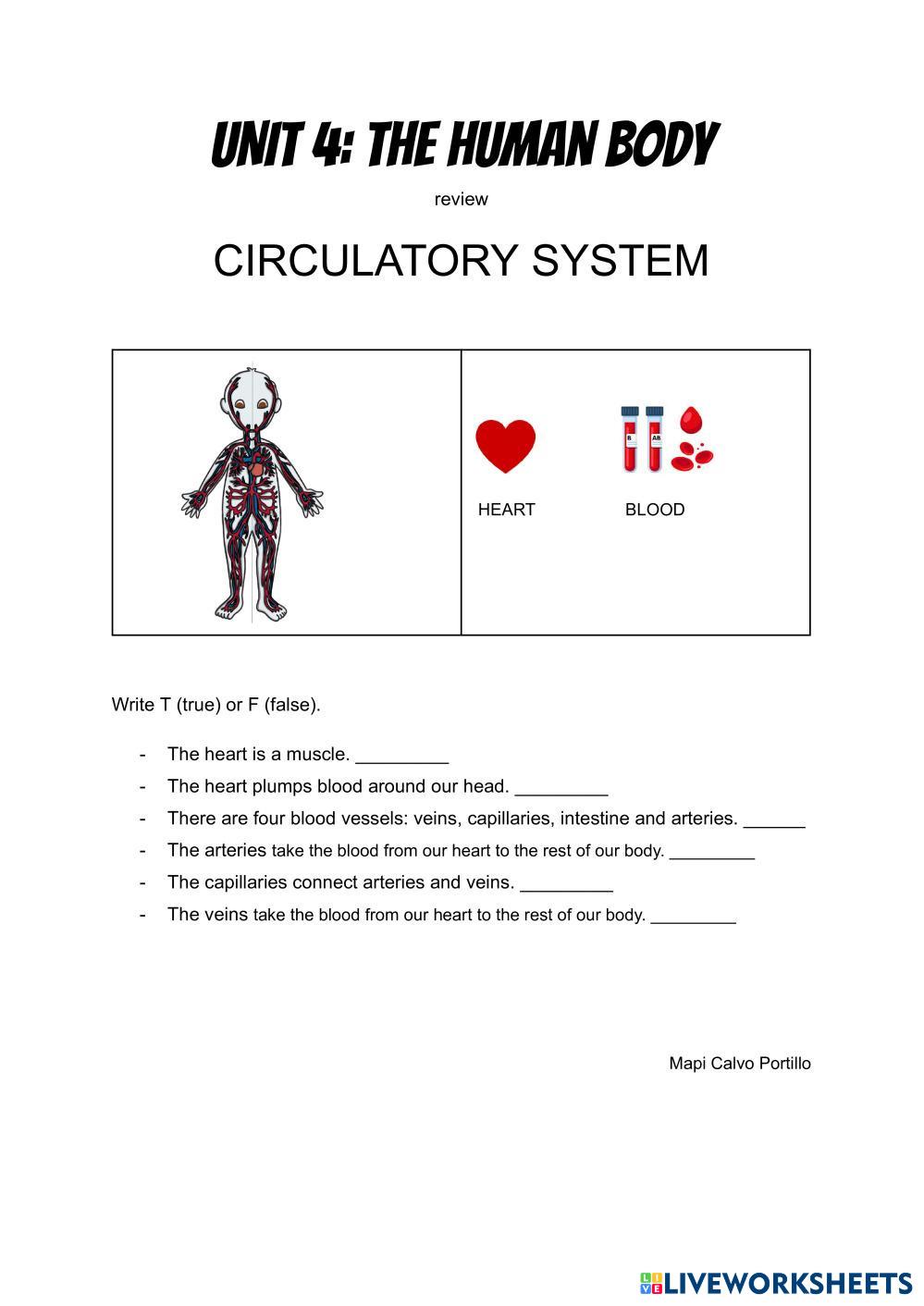 CIRCULATORY SYSTEM.pdf