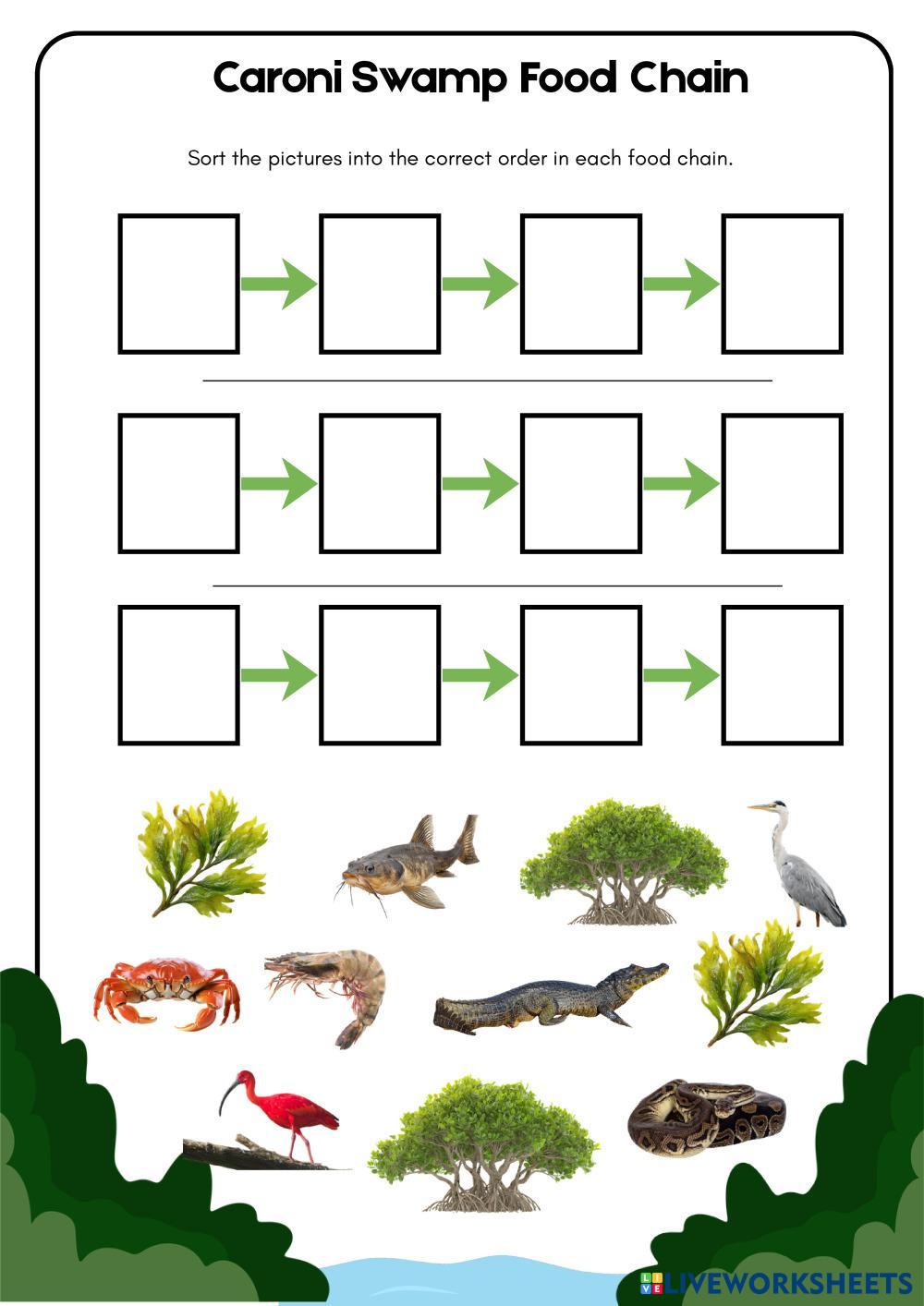 Aim__To_form_food_chains.pdf