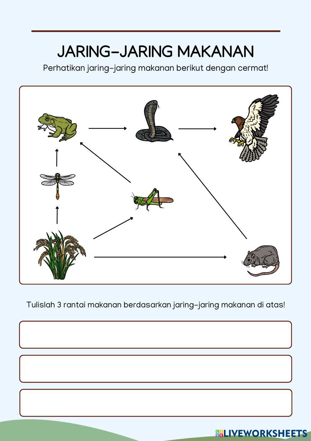 LKPD_HARMONI_DALAM_EKOSISTEM.pdf